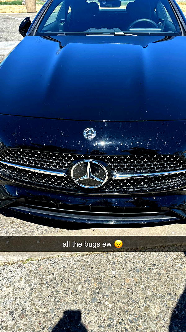 keab01 image ~ Altpins