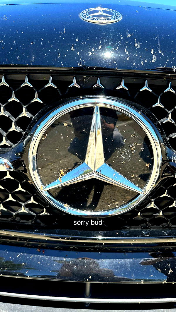 keab01 image ~ Altpins