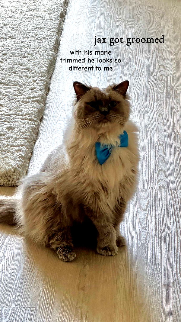 keab01 image ~ Altpins