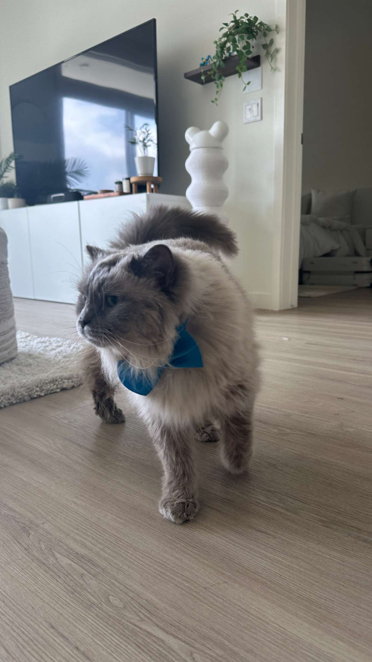 keab01 snapchat image archive image