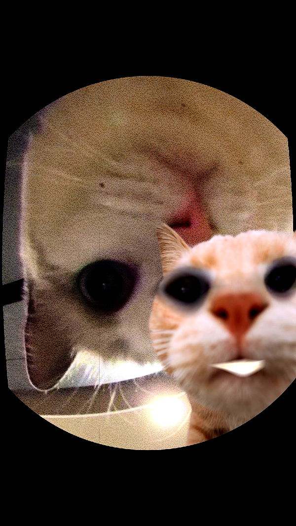 keab01 image ~ Altpins