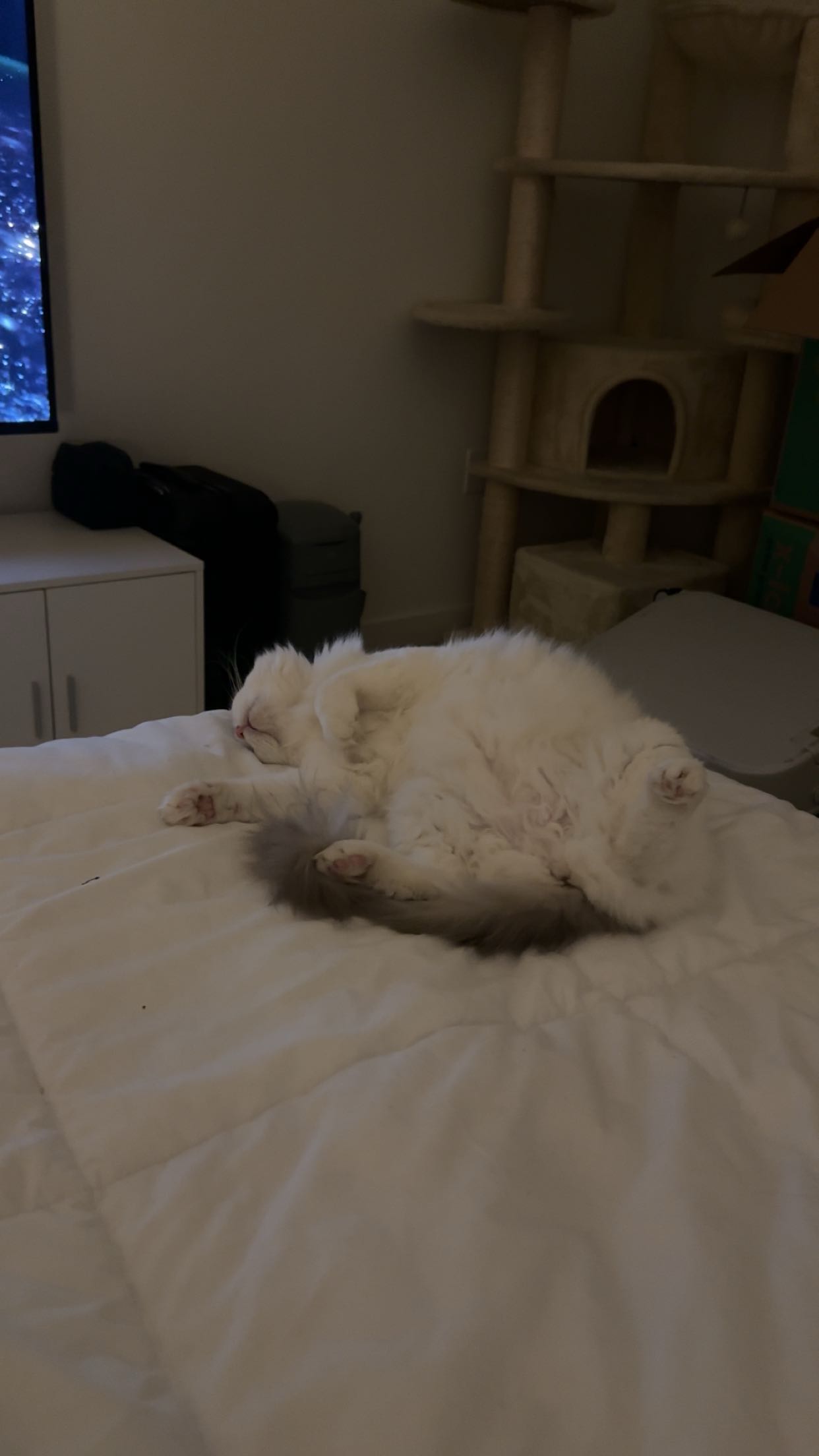 keab01 snapchat image archive image