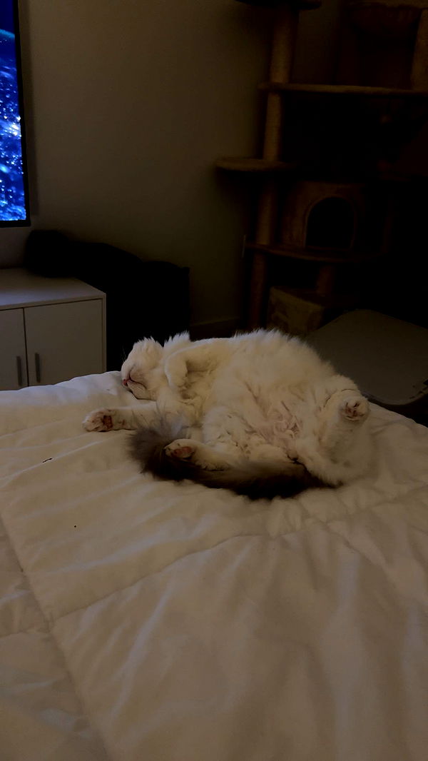 keab01 image ~ Altpins