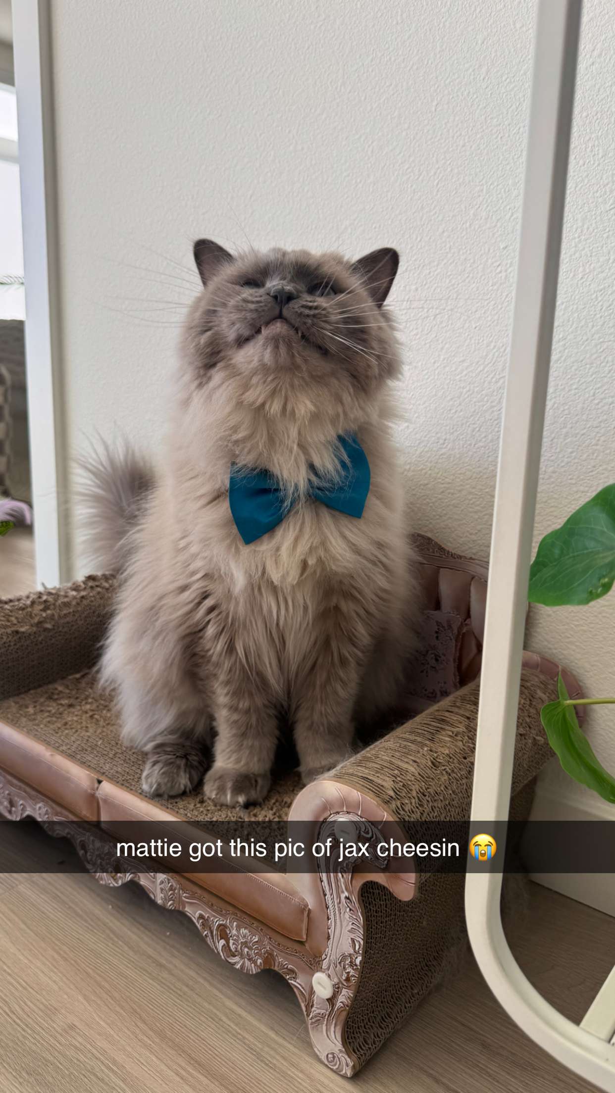 keab01 snapchat image archive image