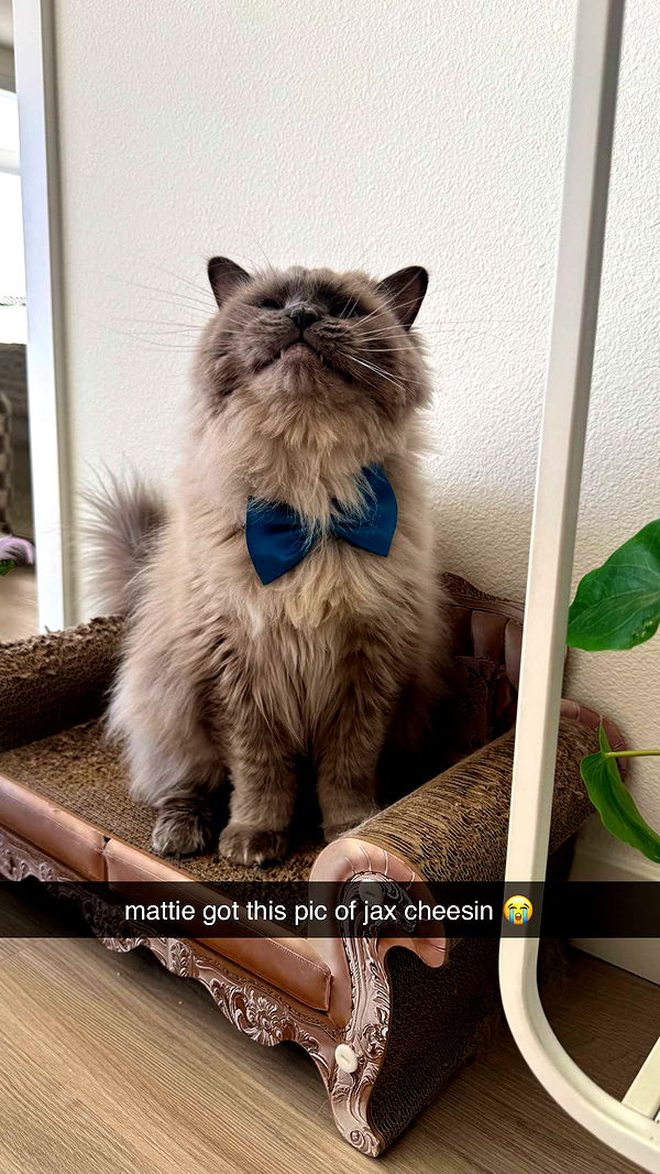 keab01 image ~ Altpins