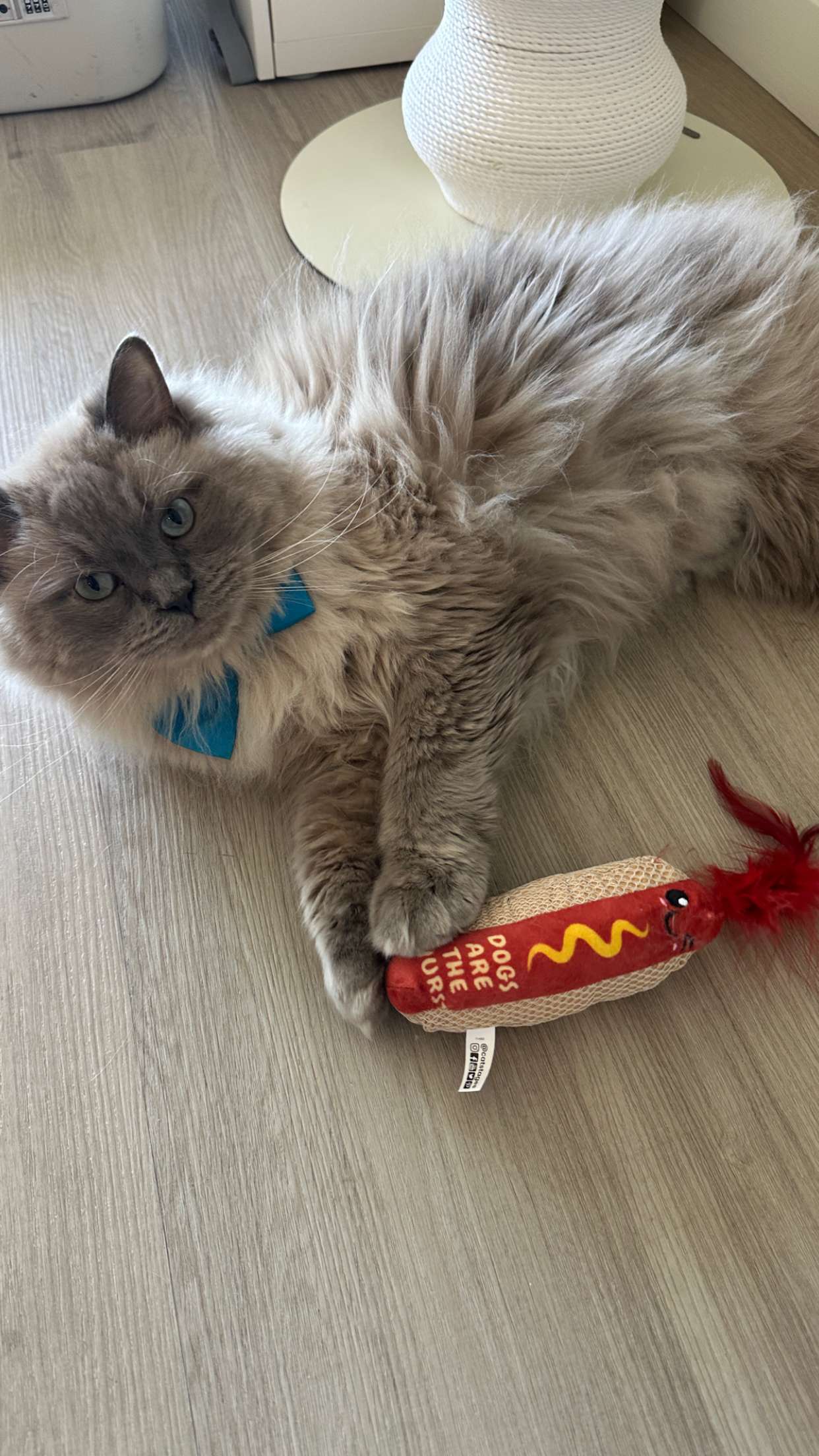 keab01 snapchat image archive image