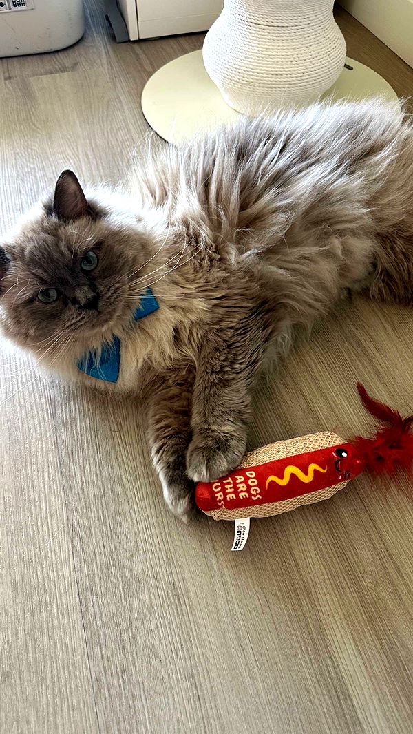 keab01 image ~ Altpins