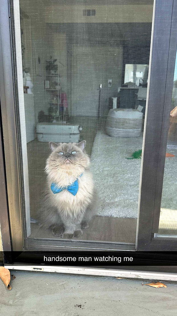 keab01 image ~ Altpins