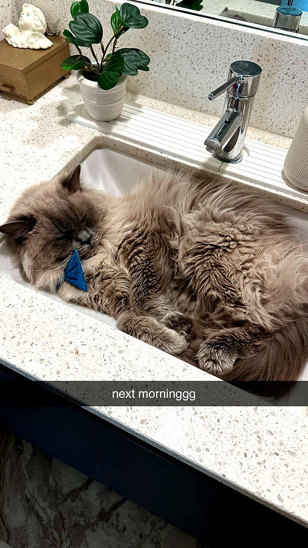 keab01 image ~ Altpins