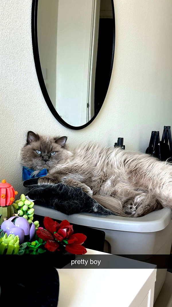 keab01 image ~ Altpins