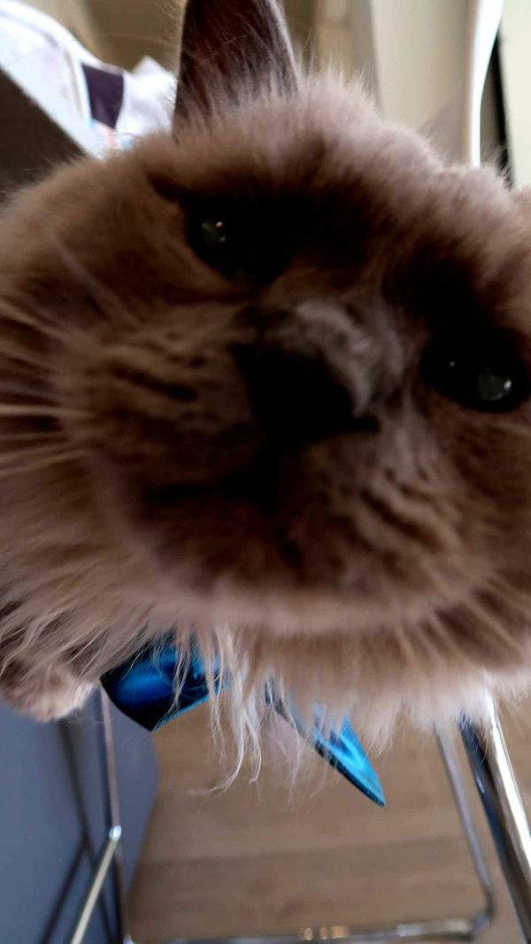 keab01 image ~ Altpins