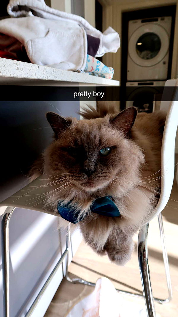 keab01 image ~ Altpins