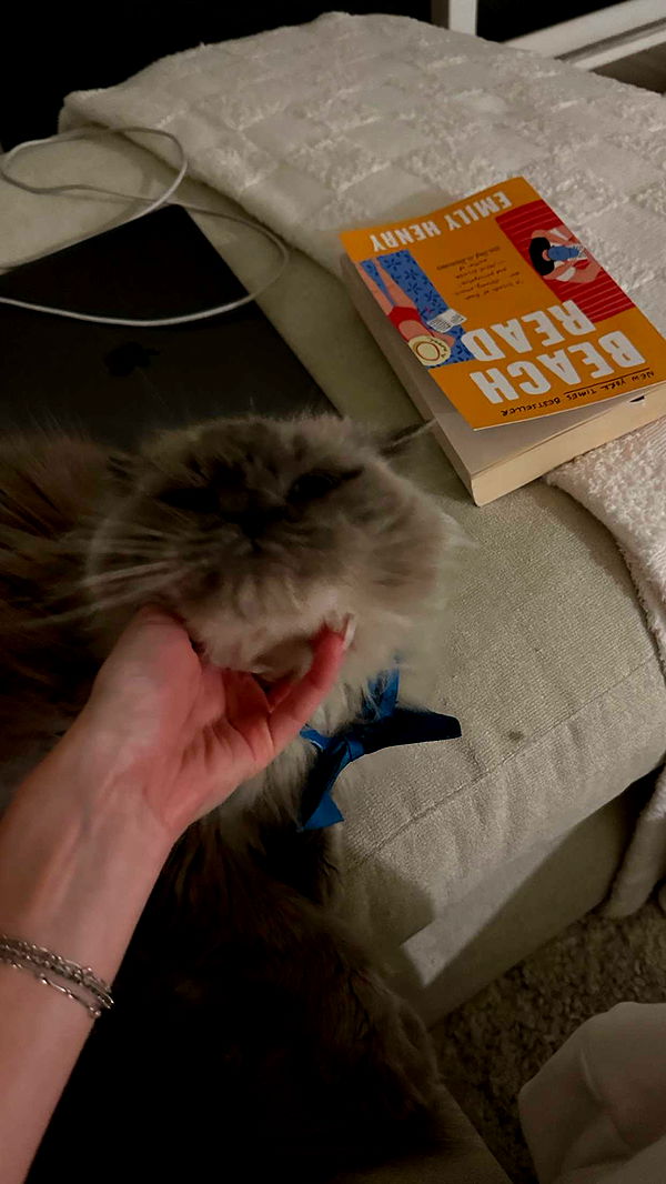 keab01 image ~ Altpins