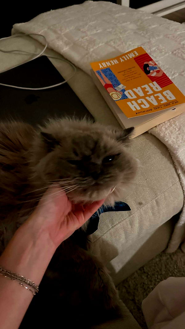 keab01 image ~ Altpins