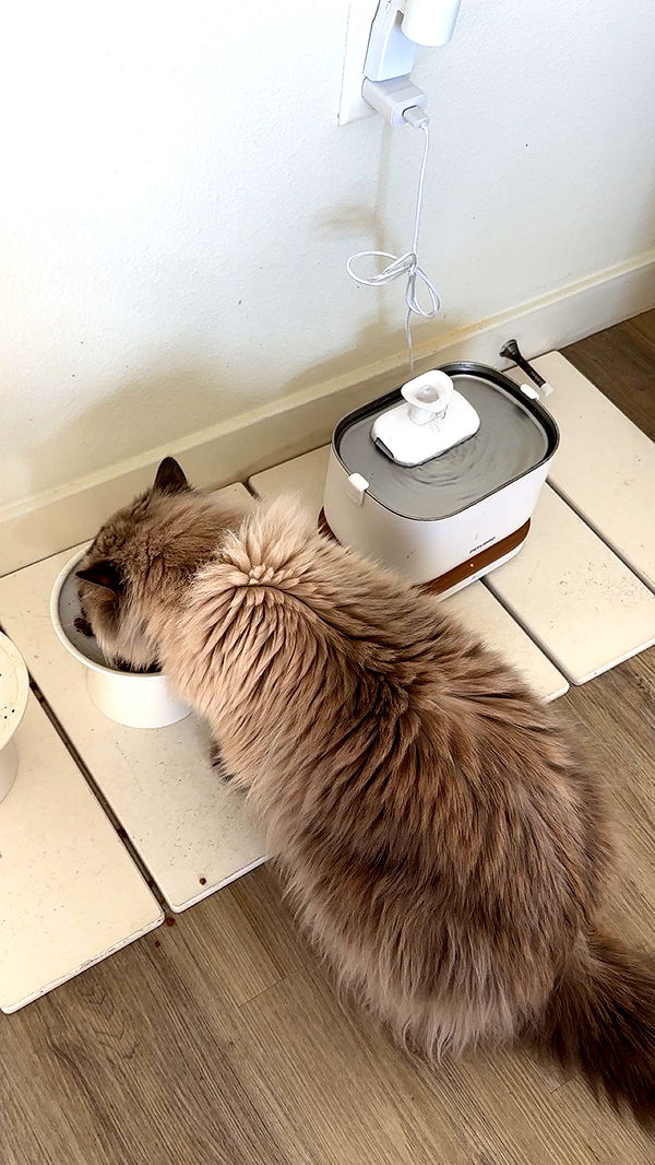 keab01 image ~ Altpins