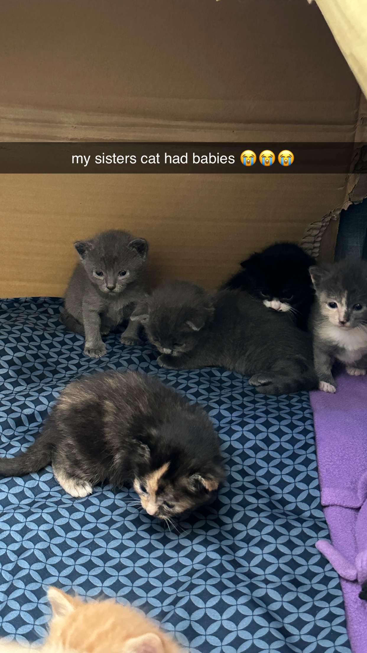 keab01 snapchat image archive image