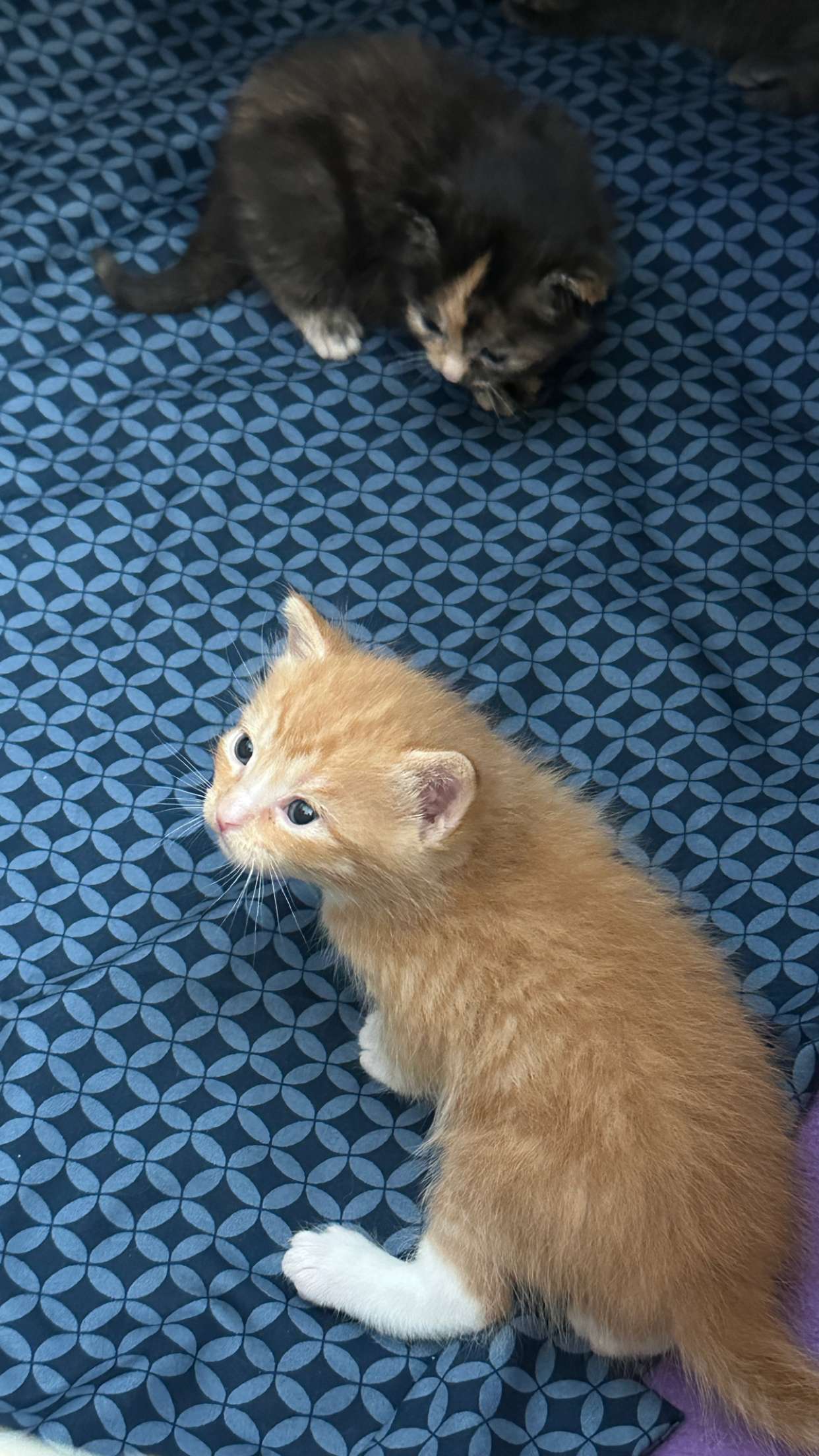 keab01 snapchat image archive image