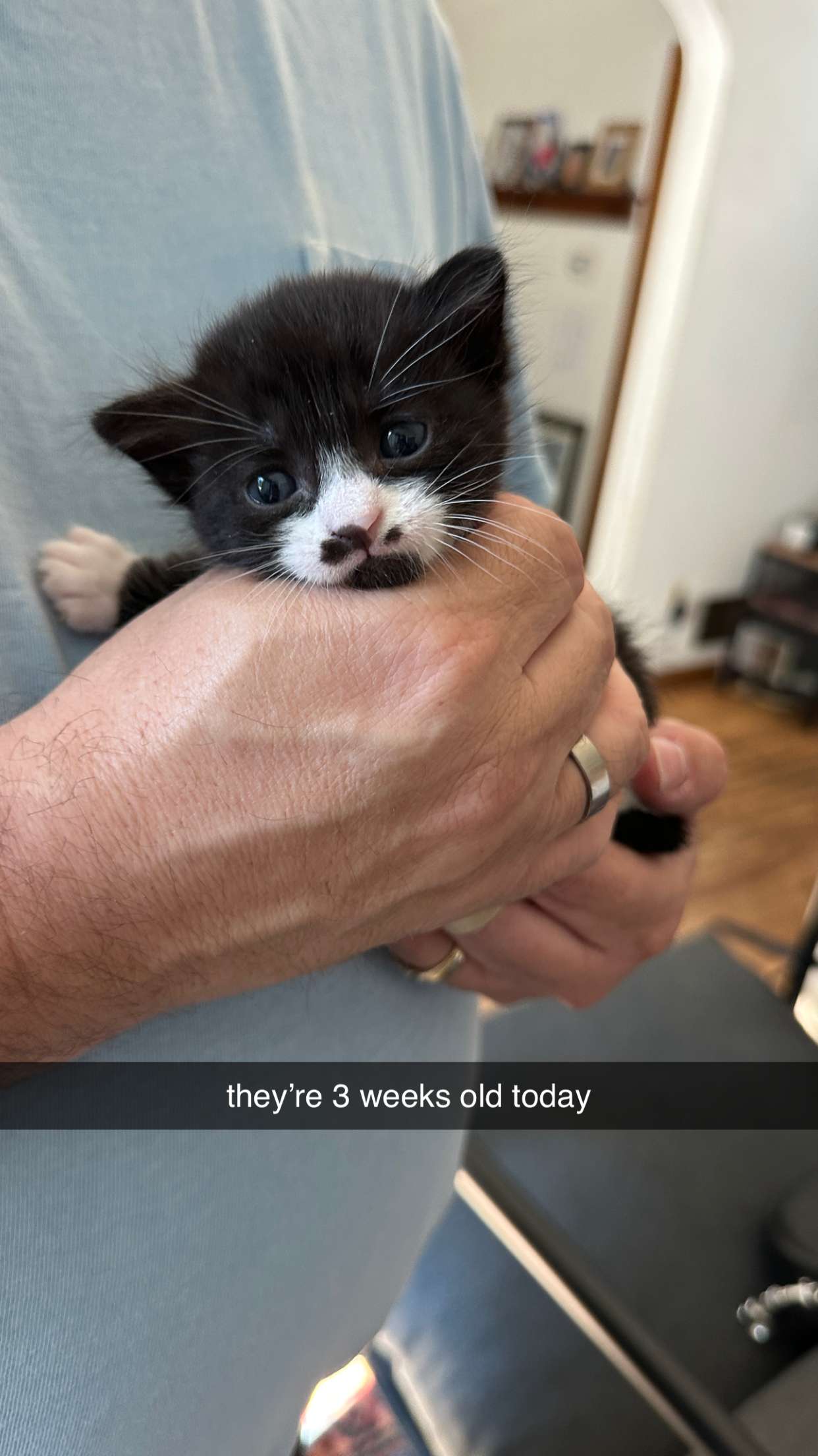 keab01 snapchat image archive image