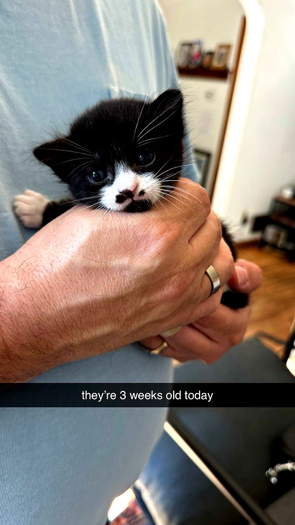 keab01 image ~ Altpins