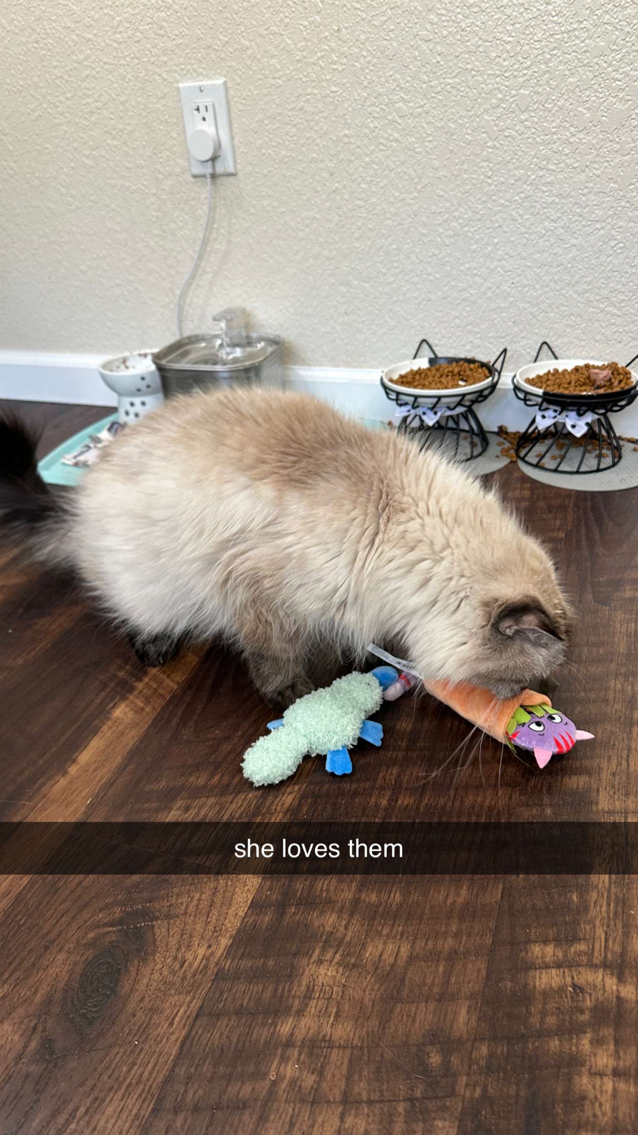 keab01 snapchat image archive image