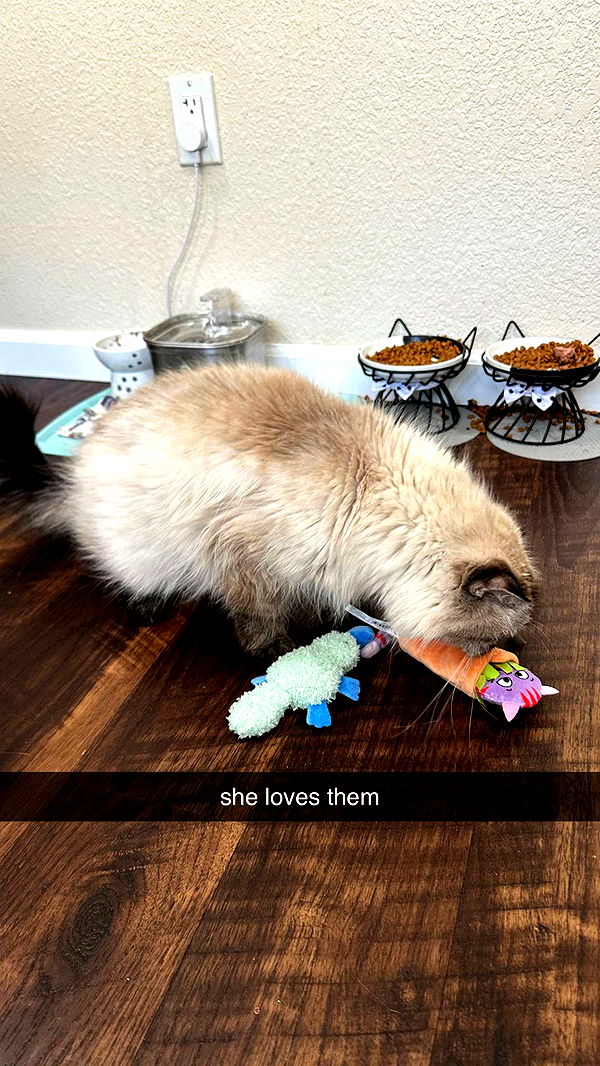 keab01 image ~ Altpins