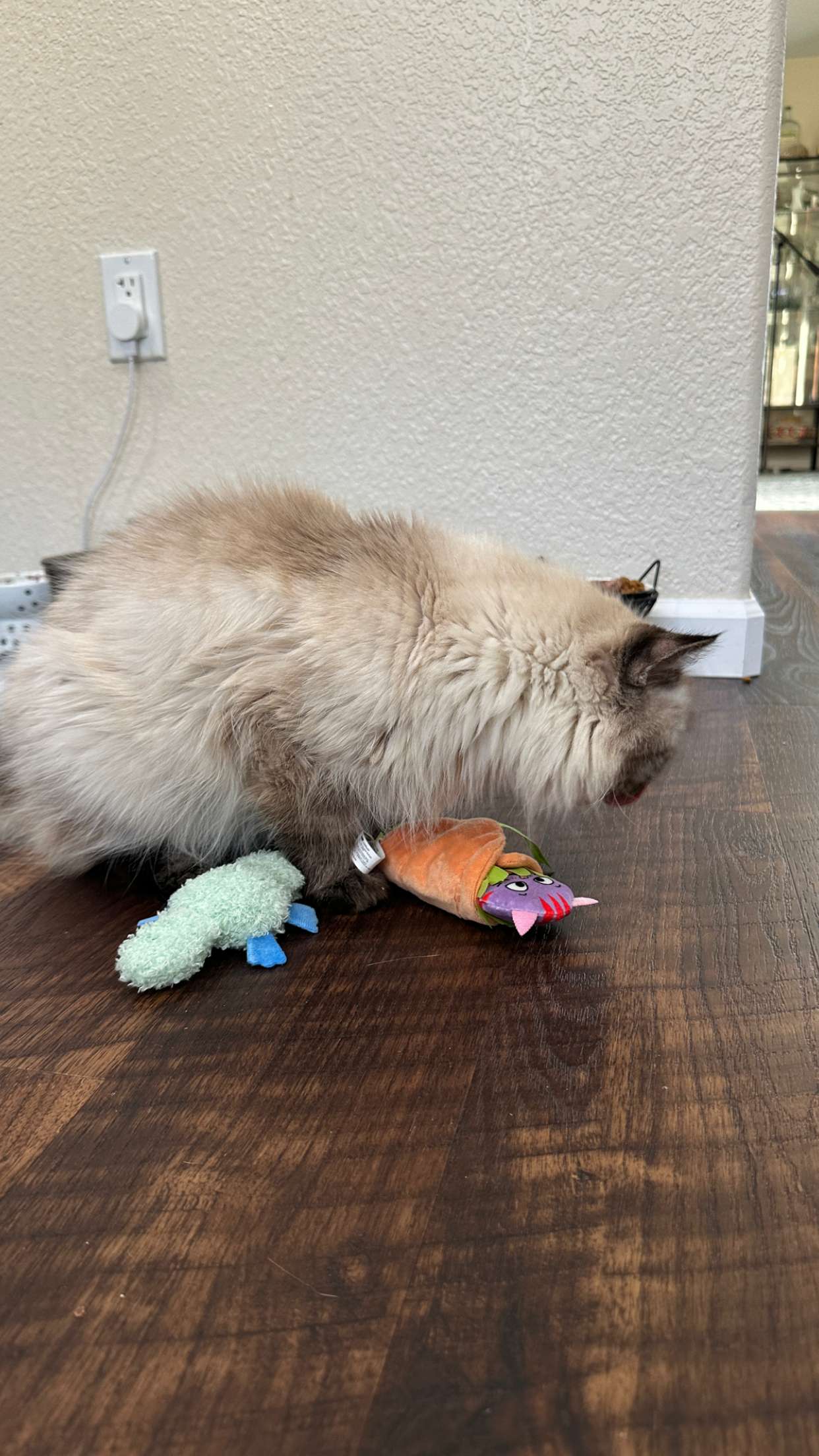 keab01 snapchat image archive image