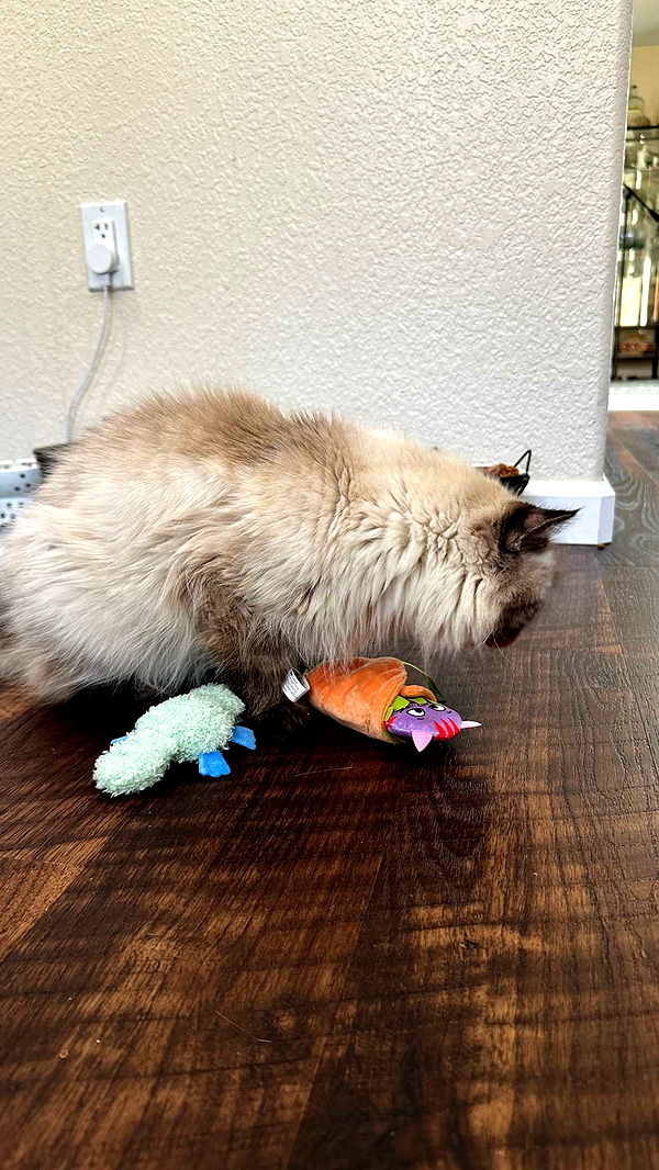 keab01 image ~ Altpins