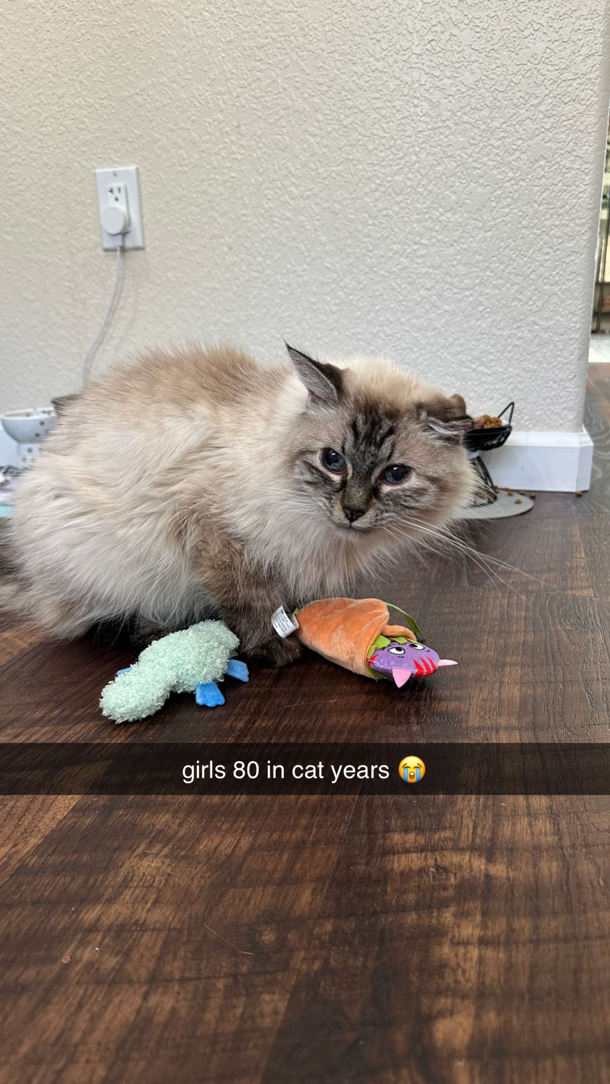 keab01 snapchat image archive image