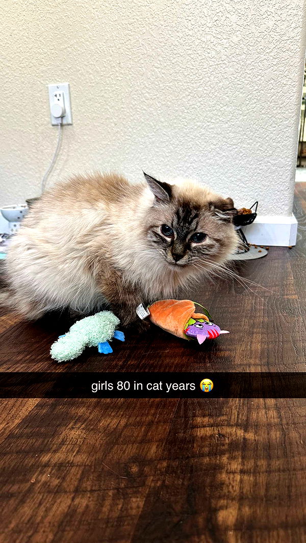 keab01 image ~ Altpins