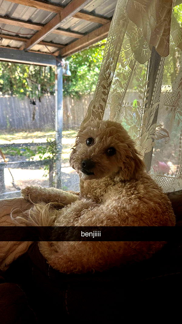 keab01 image ~ Altpins