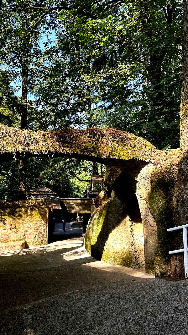 keab01 image ~ Altpins