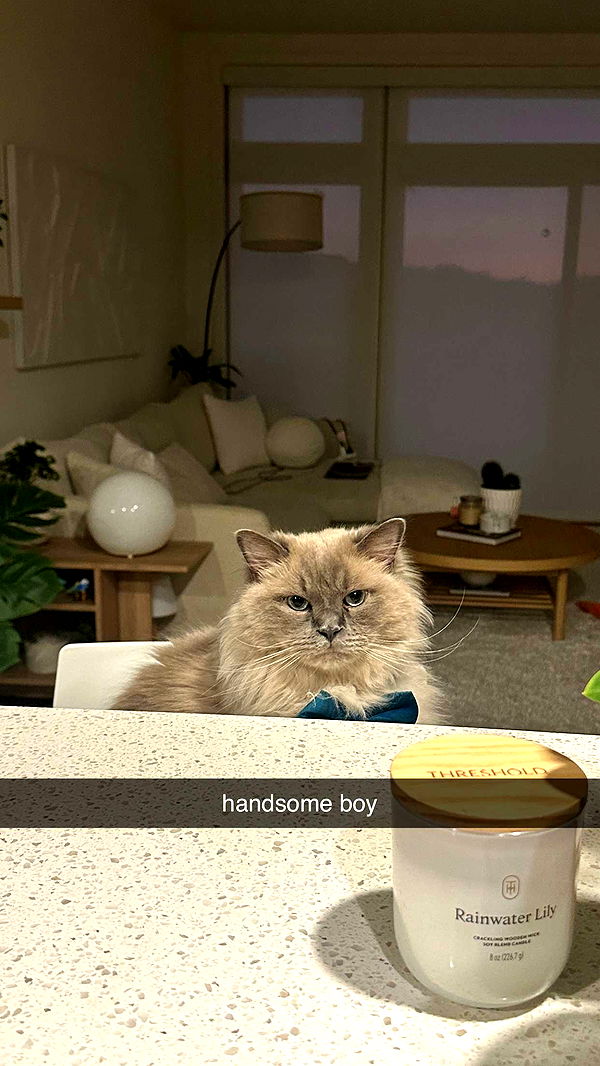 keab01 image ~ Altpins