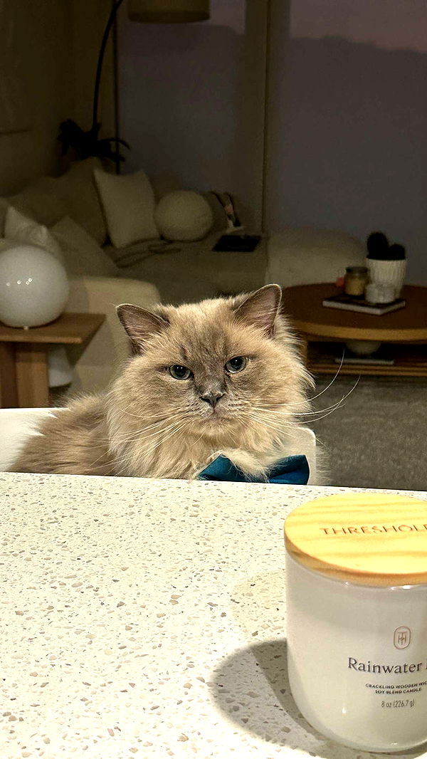 keab01 image ~ Altpins