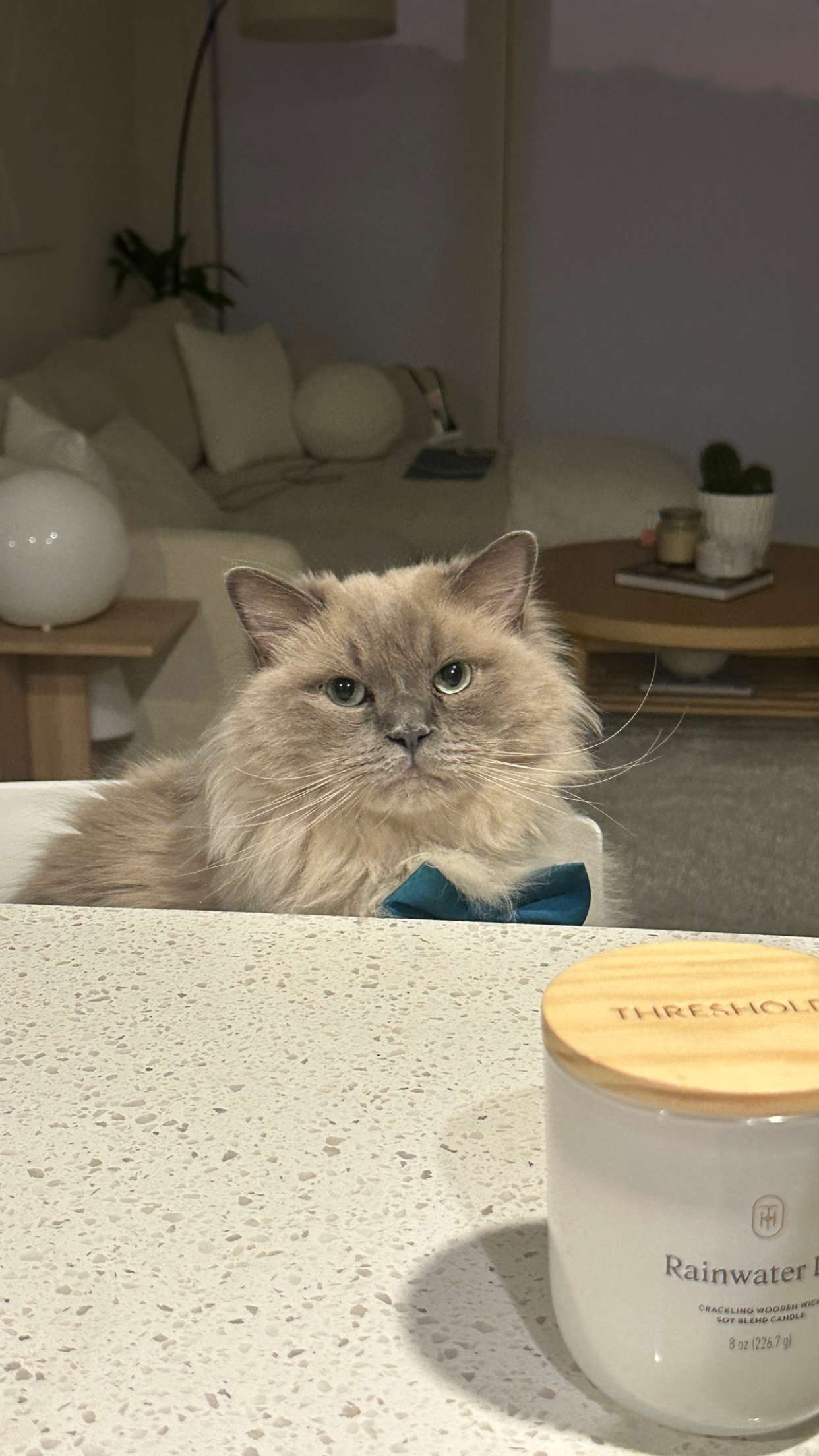 keab01 snapchat image archive image