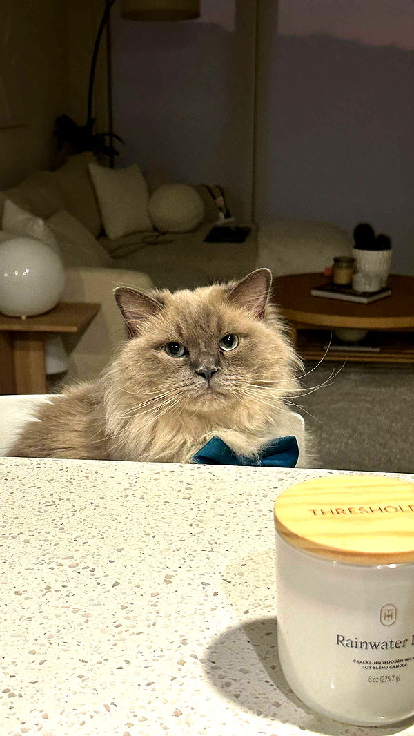 keab01 image ~ Altpins