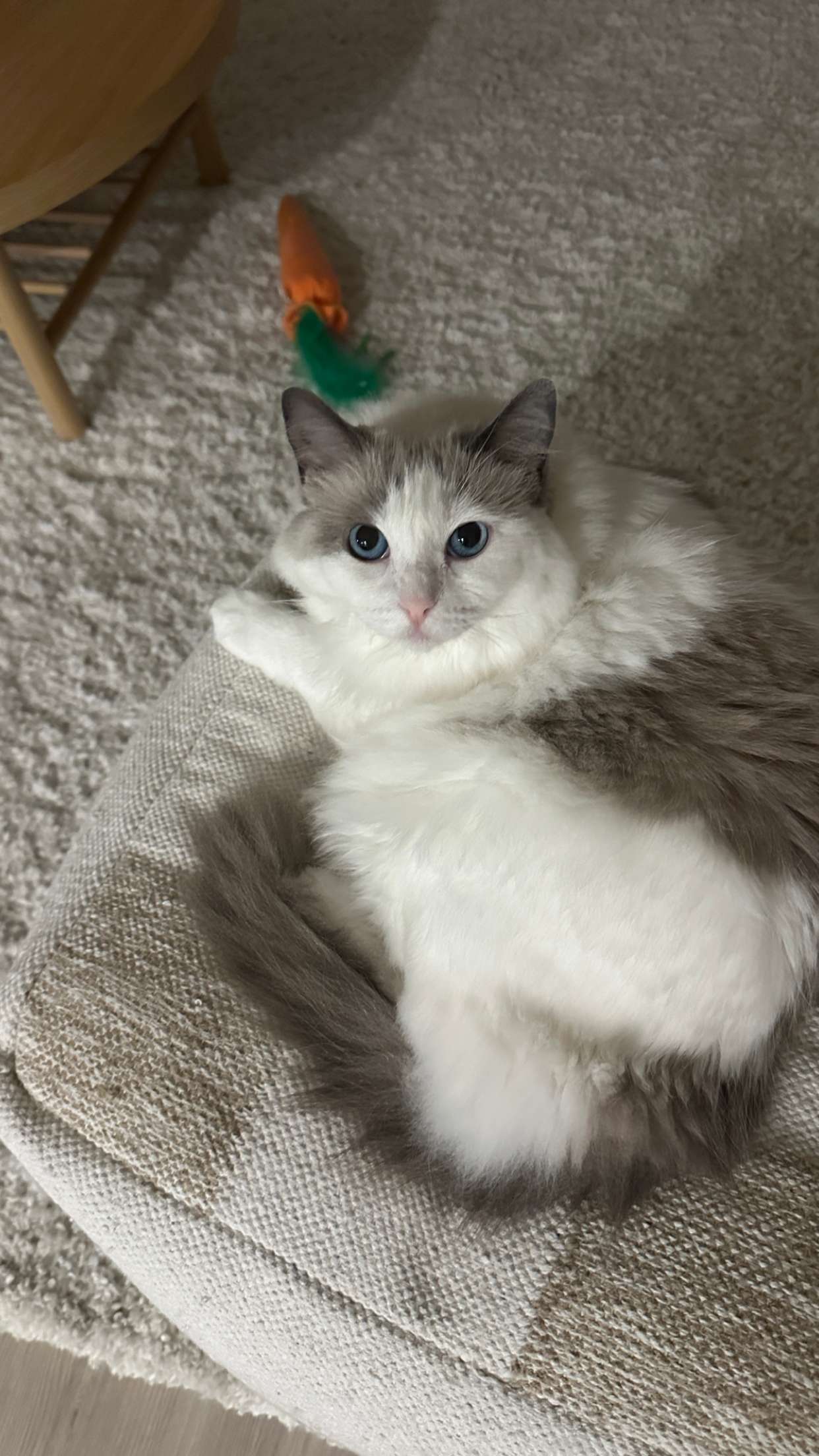 keab01 snapchat image archive image