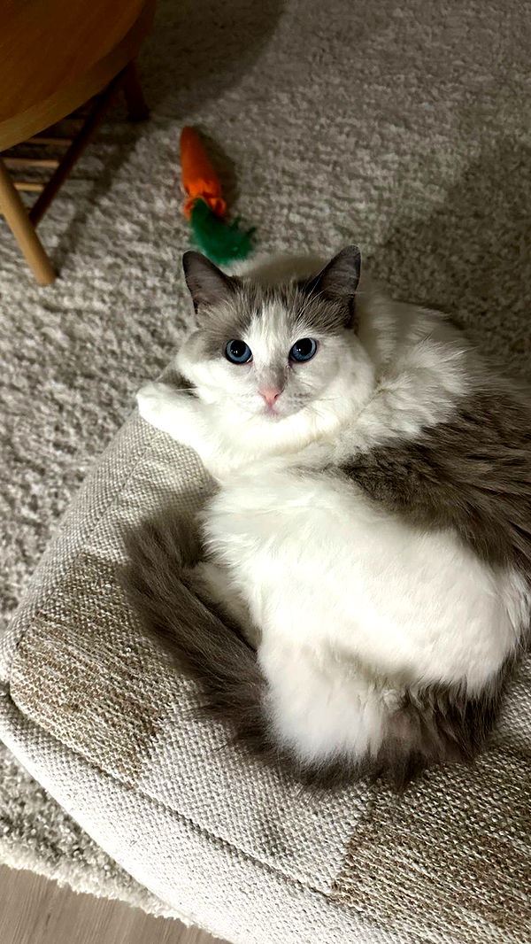 keab01 image ~ Altpins