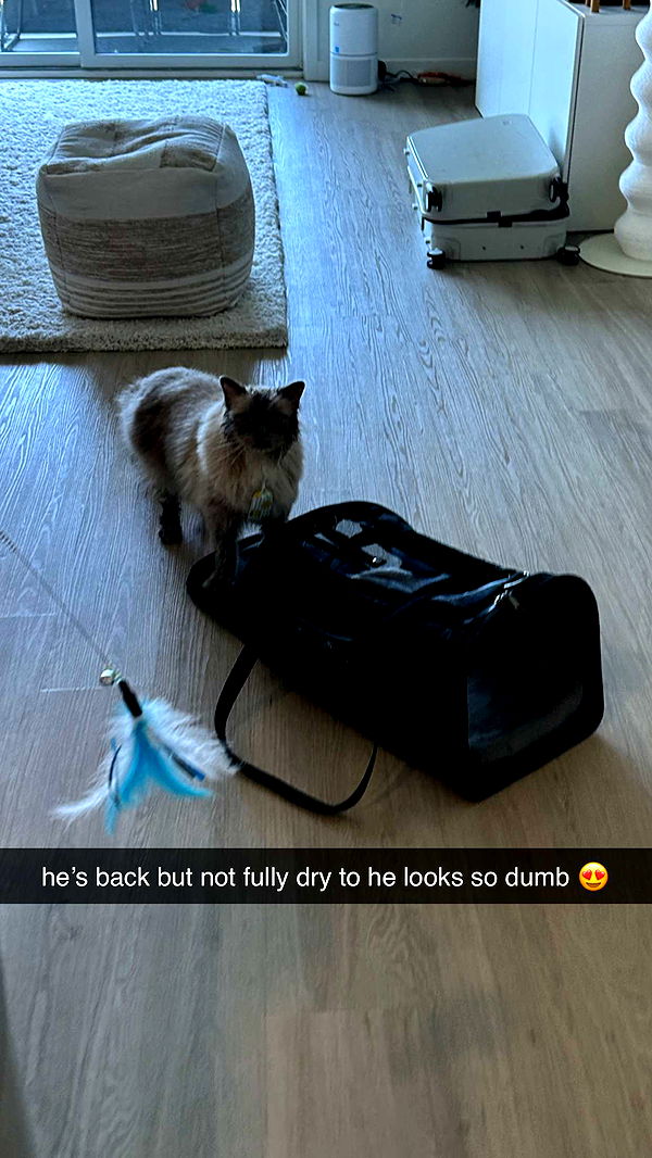 keab01 image ~ Altpins