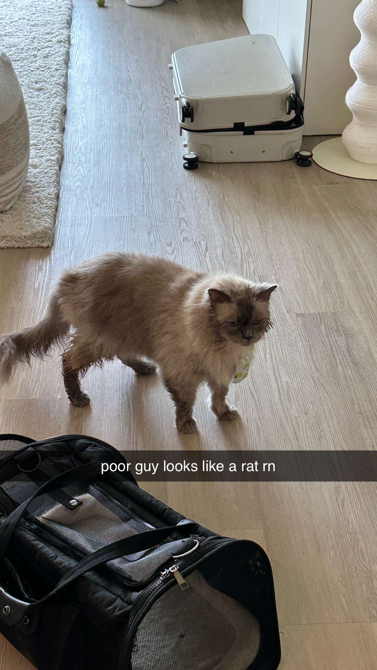 keab01 snapchat image archive image