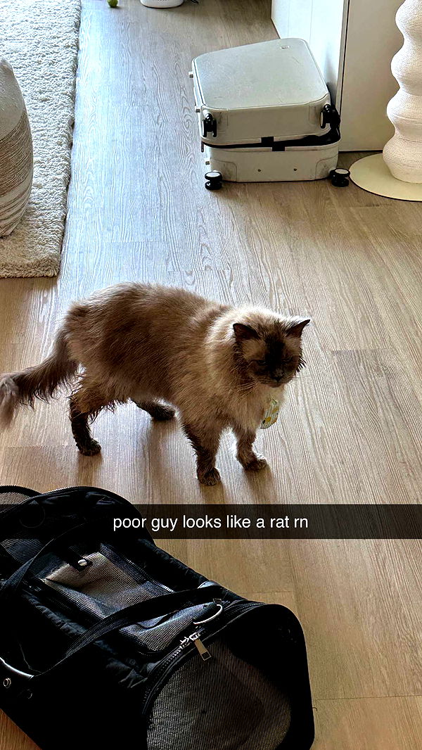 keab01 image ~ Altpins