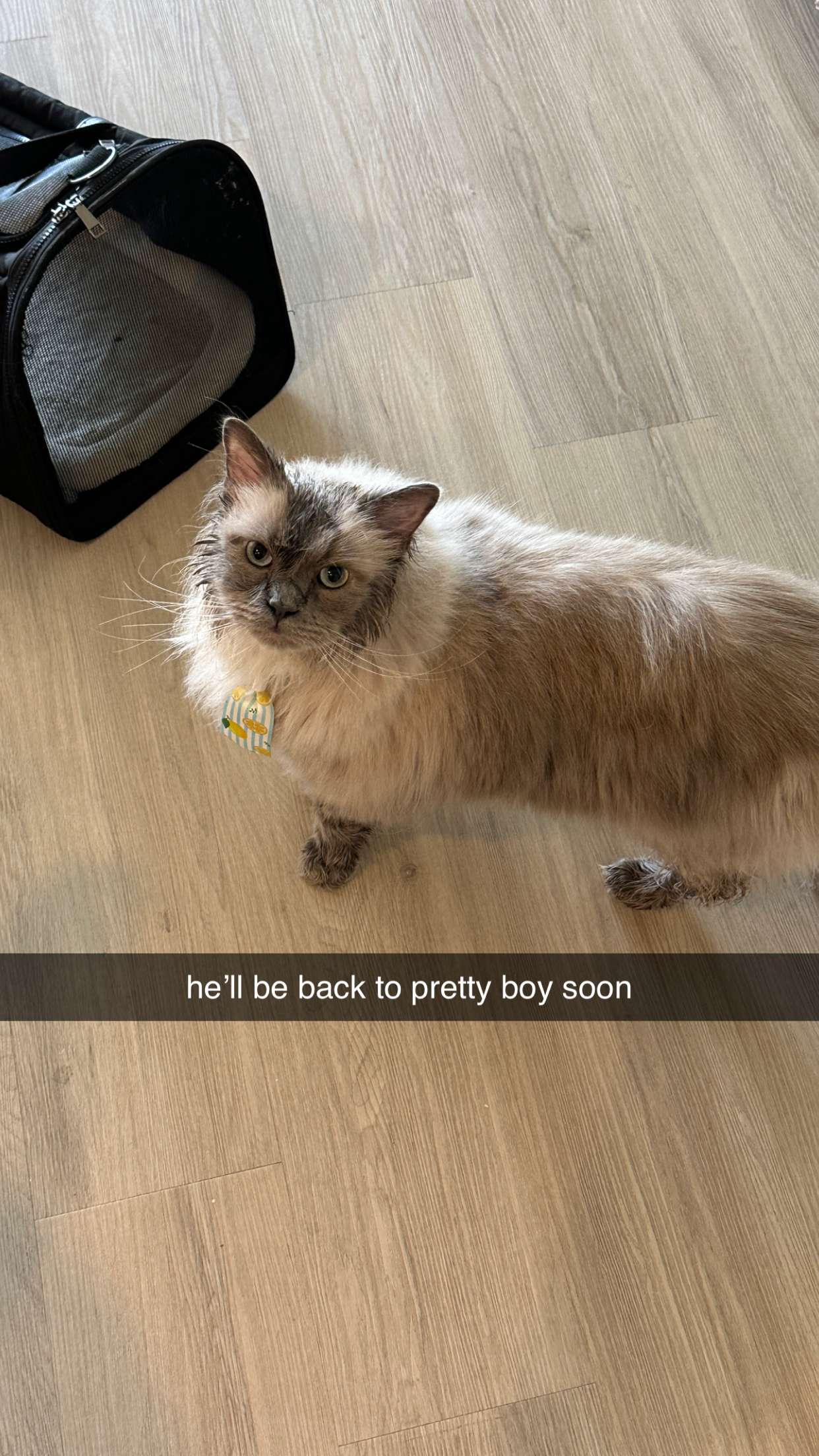 keab01 snapchat image archive image