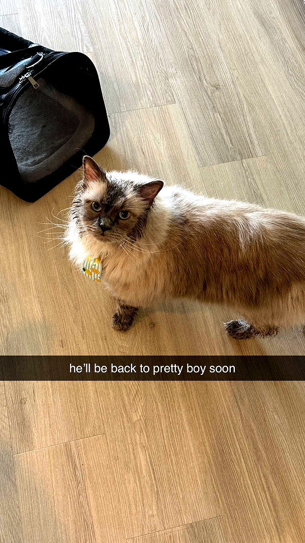 keab01 image ~ Altpins