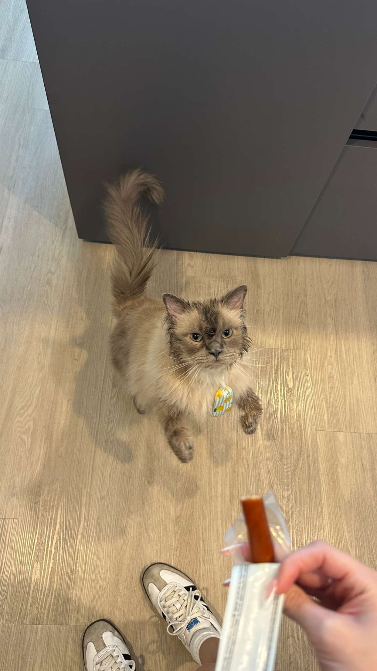 keab01 snapchat image archive image