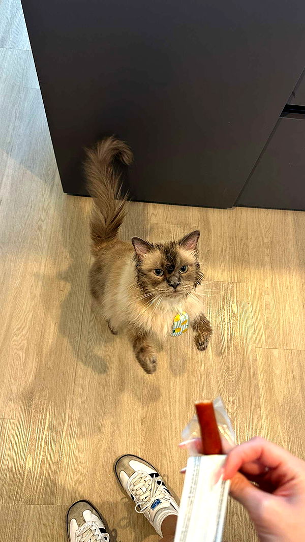 keab01 image ~ Altpins