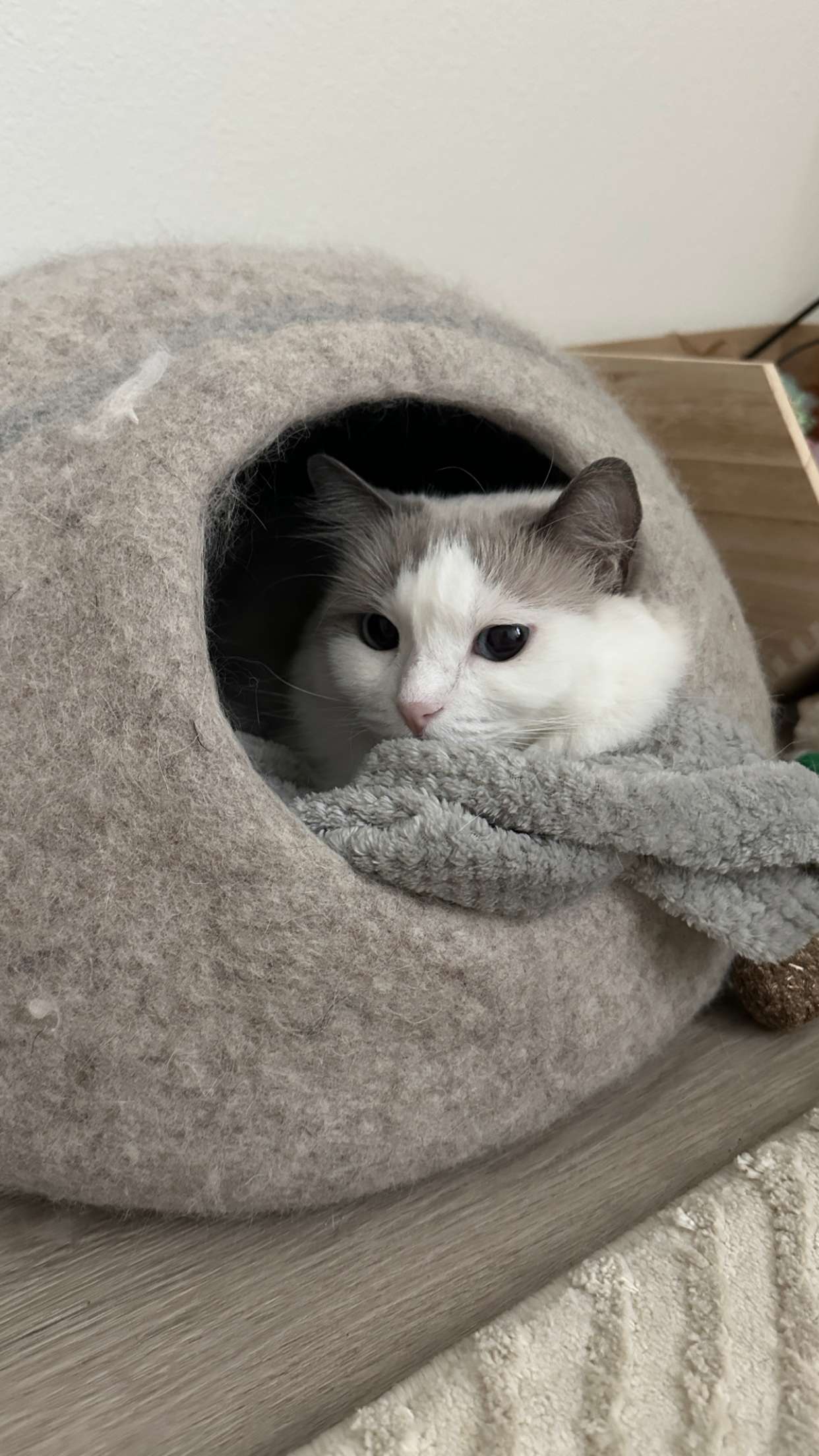 keab01 snapchat image archive image