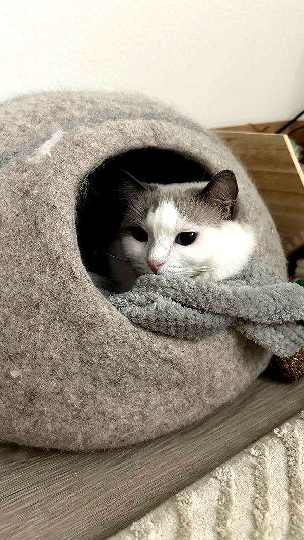 keab01 image ~ Altpins