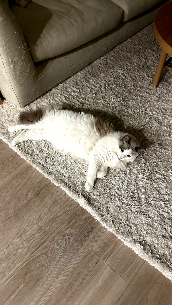 keab01 image ~ Altpins