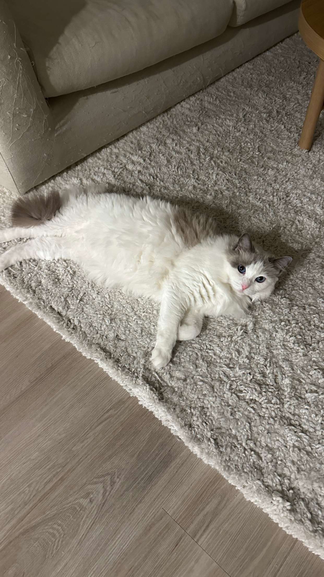 keab01 snapchat image archive image