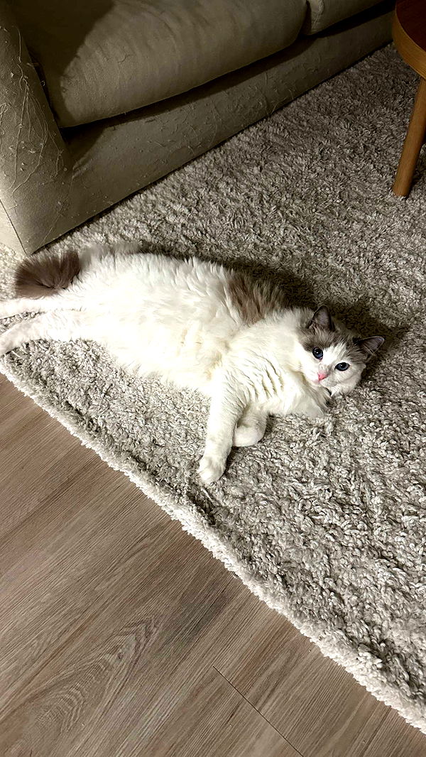 keab01 image ~ Altpins