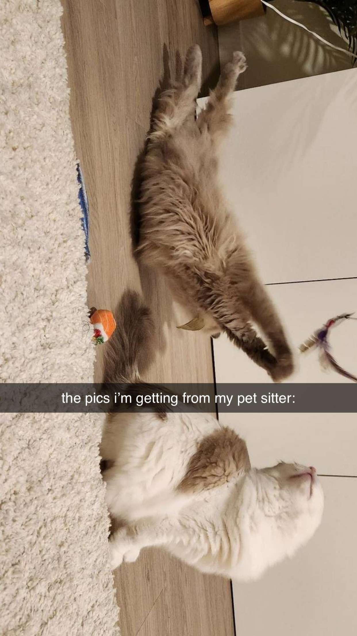 keab01 snapchat image archive image